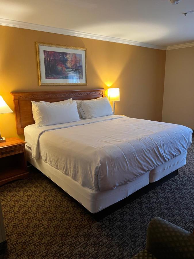 Hotel Xola Moreno Valley Extérieur photo